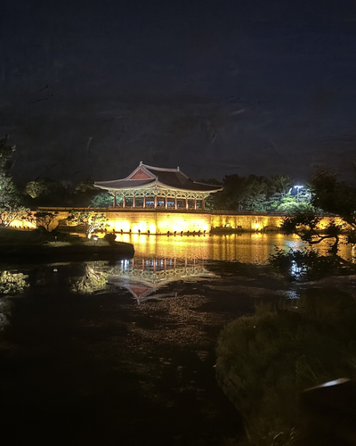 동해 내륙 4박 5일