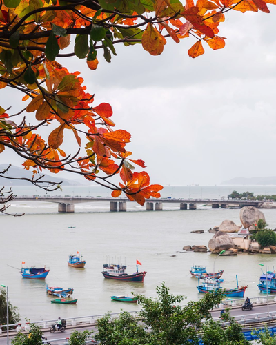 나트랑, 달랏 3박 5일