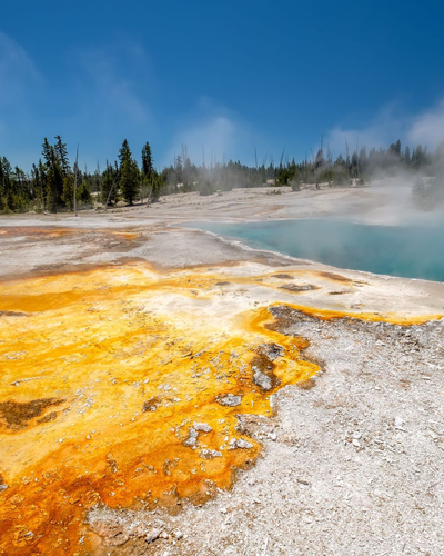 옐로스톤 3박 4일
